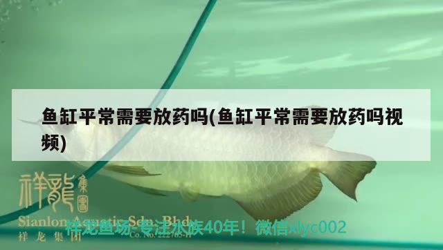 魚缸平常需要放藥嗎(魚缸平常需要放藥嗎視頻)