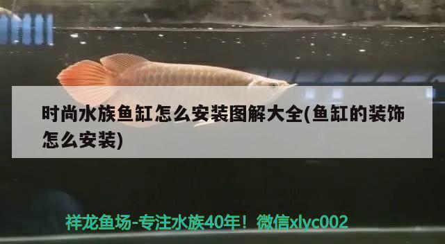 時尚水族魚缸怎么安裝圖解大全(魚缸的裝飾怎么安裝) 大正錦鯉魚