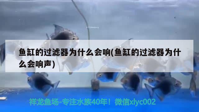 南寧萬達(dá)茂附近網(wǎng)紅打卡地，南寧出現(xiàn)過什么歷史名人