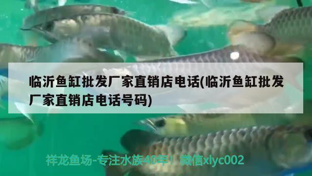 橙紅龍魚發(fā)色過程視頻教程大全 