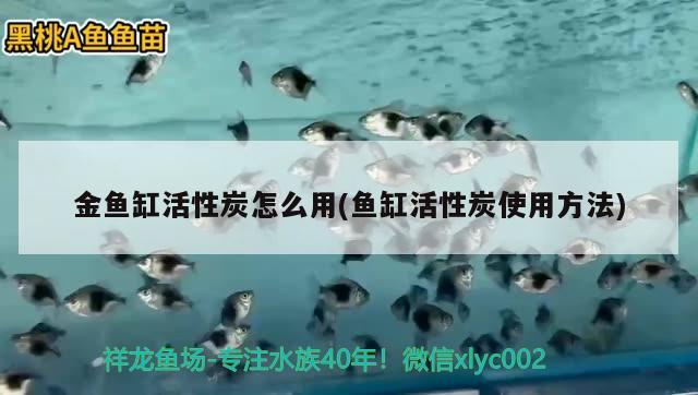 金魚缸活性炭怎么用(魚缸活性炭使用方法) 白子黑帝王魟魚