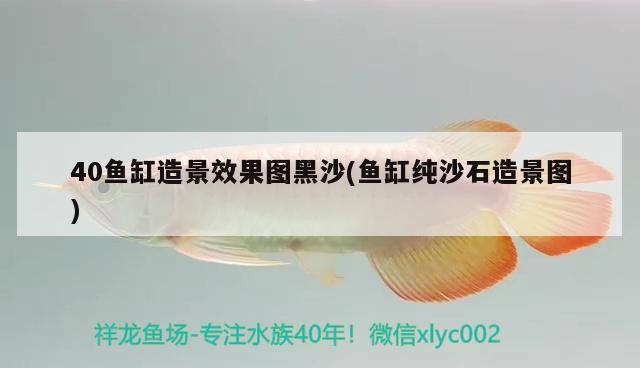 40魚缸造景效果圖黑沙(魚缸純沙石造景圖)