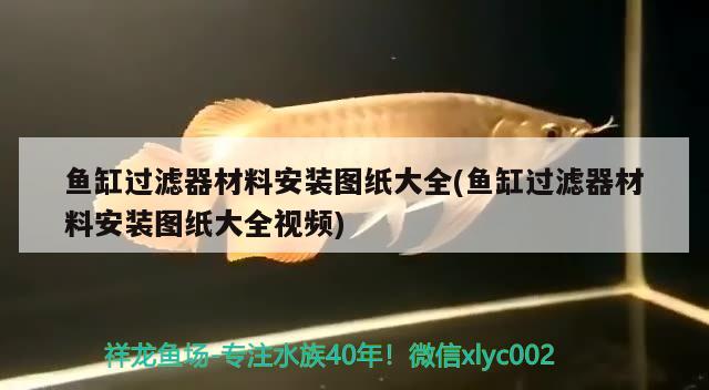 魚缸過濾器材料安裝圖紙大全(魚缸過濾器材料安裝圖紙大全視頻) 金頭過背金龍魚