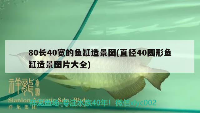 徐州哪里有賣魚缸和魚的市場啊電話和徐州哪里有賣魚缸和魚的市場，徐州哪里有賣魚缸和魚的市場