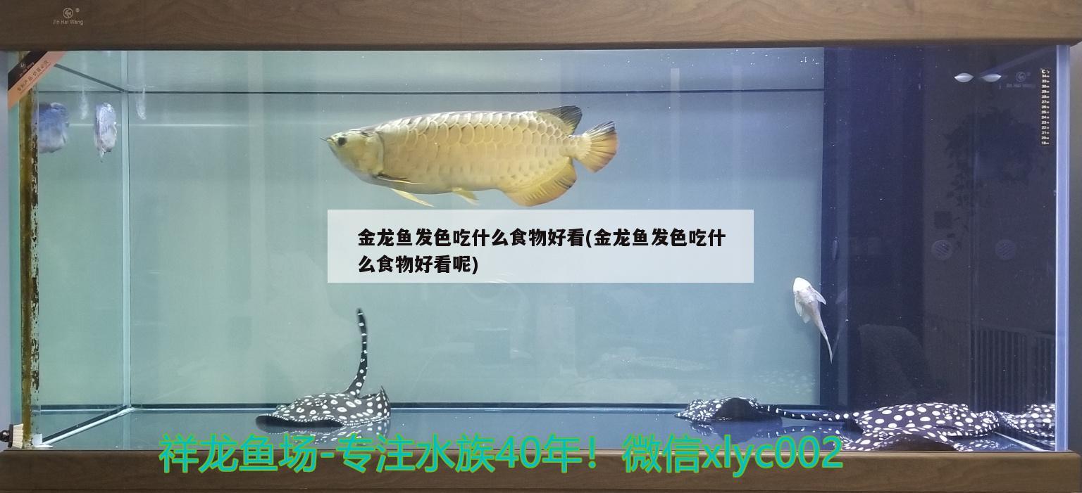 魚(yú)缸用殺菌燈對(duì)硝化細(xì)菌有影響嗎?(魚(yú)缸里放殺菌劑對(duì)硝化細(xì)菌有影響嗎) 硝化細(xì)菌