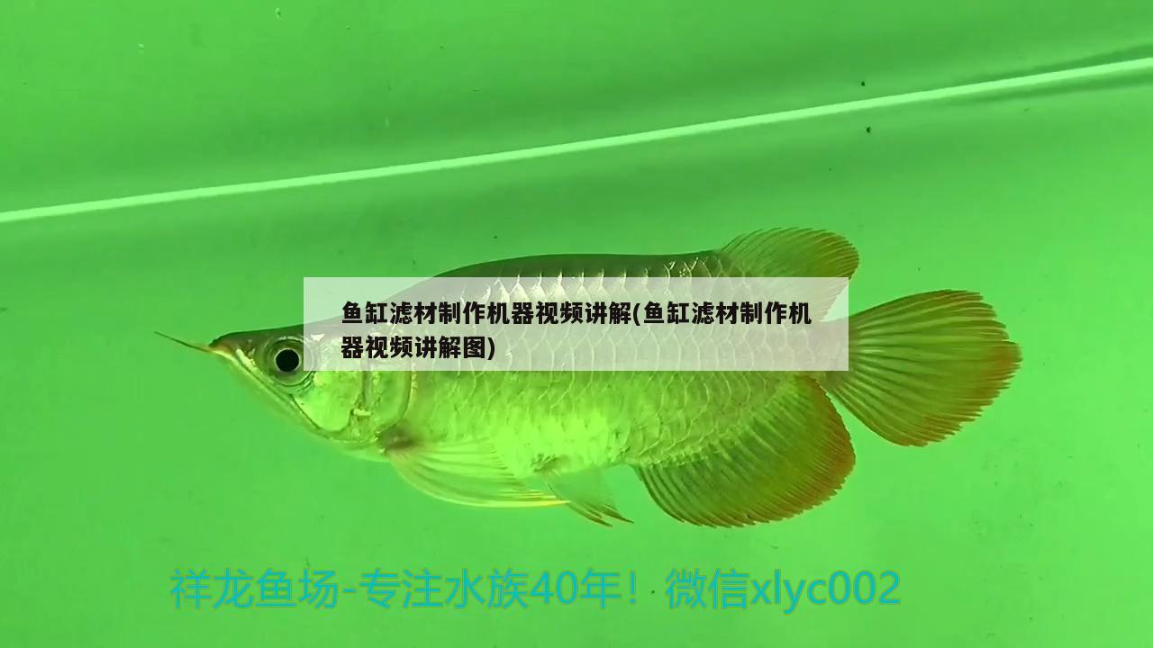 魚(yú)缸濾材制作機(jī)器視頻講解(魚(yú)缸濾材制作機(jī)器視頻講解圖) 白子黑帝王魟魚(yú)