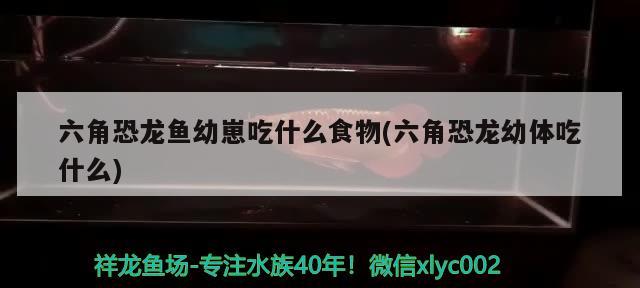 莆田水族館等了一個(gè)月終于到了 黃金眼鏡蛇雷龍魚 第2張