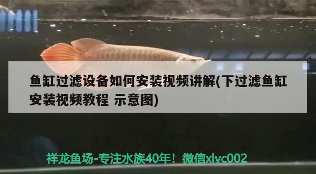 魚(yú)缸過(guò)濾設(shè)備如何安裝視頻講解(下過(guò)濾魚(yú)缸安裝視頻教程示意圖) 過(guò)濾設(shè)備