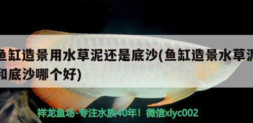 魚缸造景用水草泥還是底沙(魚缸造景水草泥和底沙哪個好)