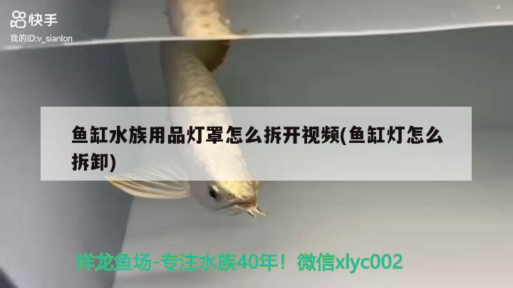 魚缸水族用品燈罩怎么拆開視頻(魚缸燈怎么拆卸) 水族用品