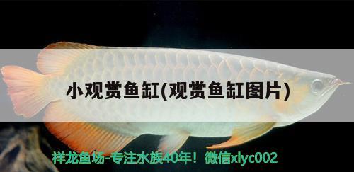 我的曼龍魚顏色變深，這有什么征兆嗎，藍(lán)曼龍魚下小魚征兆