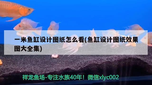 一米魚缸設(shè)計(jì)圖紙?jiān)趺纯?魚缸設(shè)計(jì)圖紙效果圖大全集) 朱巴利魚