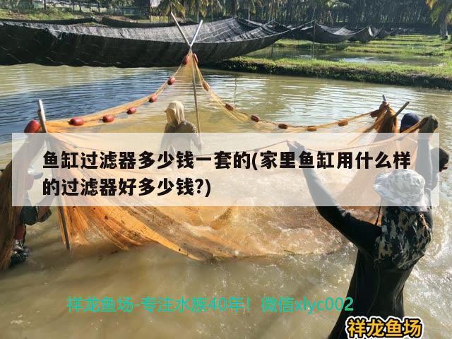 魚缸過濾器多少錢一套的(家里魚缸用什么樣的過濾器好多少錢?) 觀賞魚百科