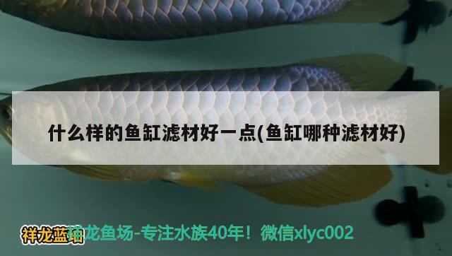 廣州兆鴻貿(mào)易店 全國(guó)水族館企業(yè)名錄 第2張