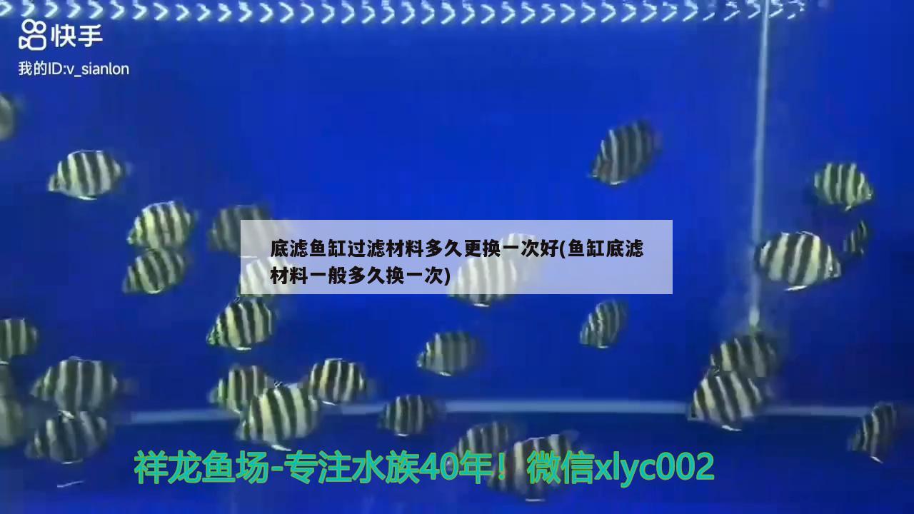 底濾魚(yú)缸過(guò)濾材料多久更換一次好(魚(yú)缸底濾材料一般多久換一次) 紅龍專(zhuān)用魚(yú)糧飼料 第1張