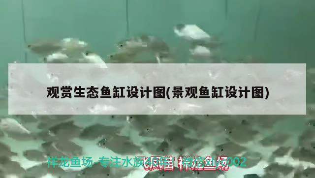 魚缸換水的正確方法，，家庭魚缸臟了怎么換水的正確方法魚缸換水的正確方法 黃金夢(mèng)幻雷龍魚 第1張