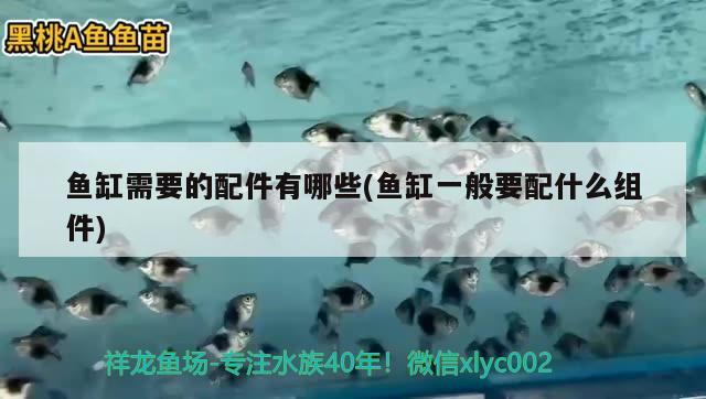 魚缸需要的配件有哪些(魚缸一般要配什么組件) 潛水艇魚