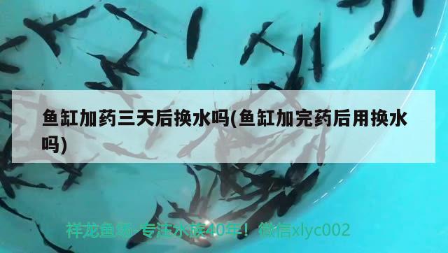 魚缸加藥三天后換水嗎(魚缸加完藥后用換水嗎) 肥料