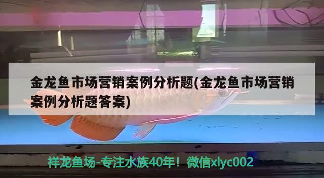 金龍魚市場營銷案例分析題(金龍魚市場營銷案例分析題答案)