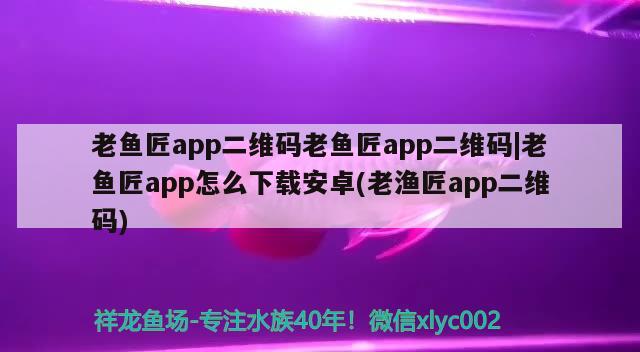 老魚匠app二維碼老魚匠app二維碼|老魚匠app怎么下載安卓(老漁匠app二維碼) 老魚匠