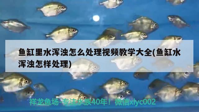 魚缸加鹽開過濾嗎（魚缸養(yǎng)魚每次換水都加海鹽嗎） 賽級紅龍魚 第2張