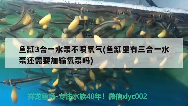 魚缸3合一水泵不噴氧氣(魚缸里有三合一水泵還需要加輸氧泵嗎)