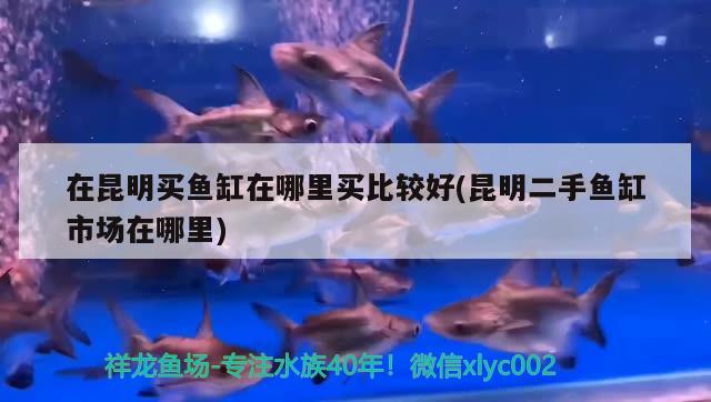 濟南哪里有賣大魚缸的,裝飾用的，滿意加分，濟南魚缸制作哪家比較好