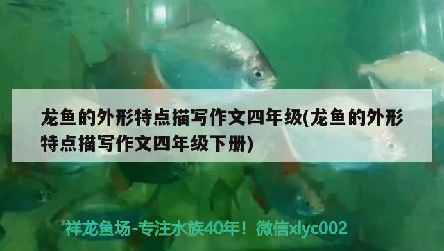 廣州伙陽(yáng)商貿(mào)店 全國(guó)水族館企業(yè)名錄 第1張