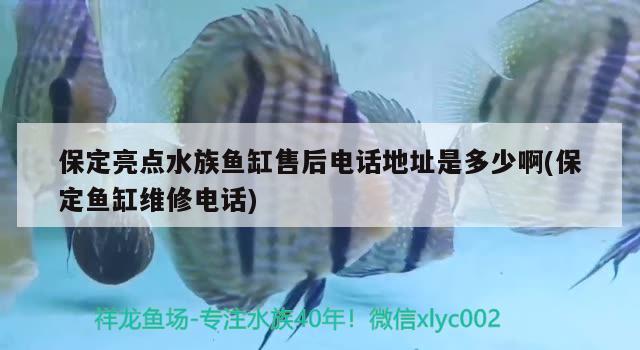 保定亮點(diǎn)水族魚缸售后電話地址是多少啊(保定魚缸維修電話)