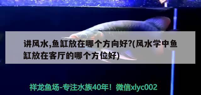 臺州魚缸海鮮池定做廠家電話（臺州魚缸海鮮池定做廠家電話號碼） 量子養(yǎng)魚技術(shù) 第3張