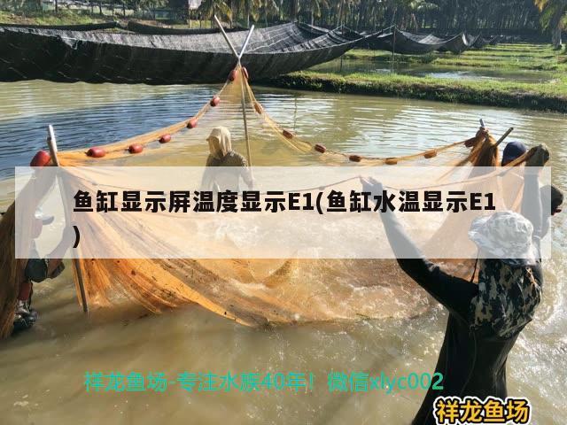 魚缸顯示屏溫度顯示E1(魚缸水溫顯示E1) 祥龍水族護(hù)理水