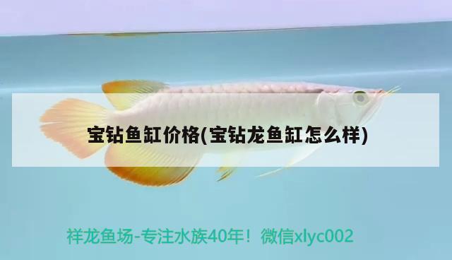 寶鉆魚(yú)缸價(jià)格(寶鉆龍魚(yú)缸怎么樣)