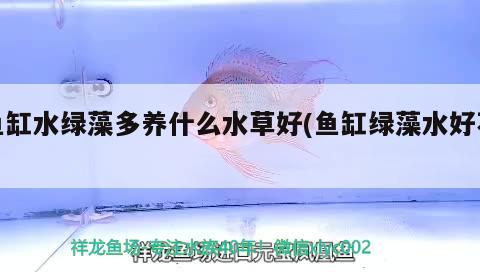 魚缸水族箱維護(hù)，百度百科-魚缸維護(hù)魚缸日常怎么維護(hù)魚缸日常維護(hù)