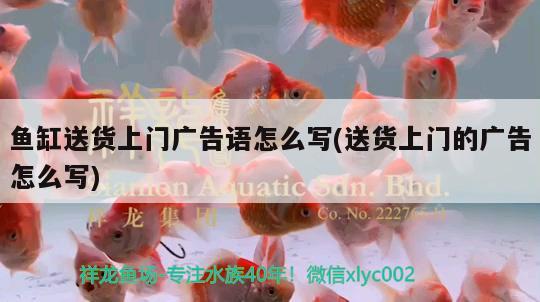 魚缸送貨上門廣告語怎么寫(送貨上門的廣告怎么寫)