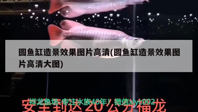 魚缸過濾棉怎樣安裝：魚缸過濾棉怎樣安裝好 觀賞魚市場 第2張