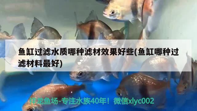 魚缸過濾水質(zhì)哪種濾材效果好些(魚缸哪種過濾材料最好) 養(yǎng)魚知識