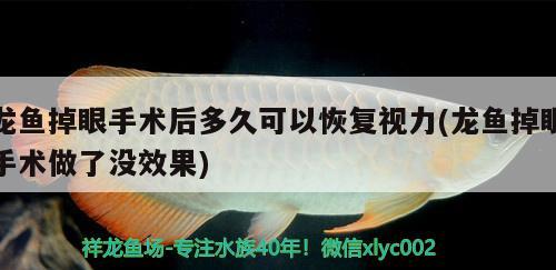 魚(yú)缸磨邊是直邊斜邊好，魚(yú)缸磨邊是直邊斜邊好嗎 觀賞魚(yú) 第2張