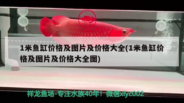 1米魚缸價格及圖片及價格大全(1米魚缸價格及圖片及價格大全圖) 伊巴卡魚