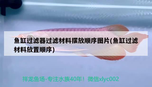 魚缸過濾器過濾材料擺放順序圖片(魚缸過濾材料放置順序) 哥倫比亞巨暴魚苗