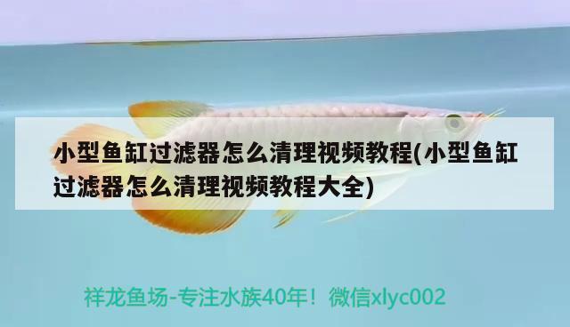 森森魚缸是超白嗎森森的金晶超白用的是什么（森森魚缸是超白嗎和森森的魚缸為什么不好） 白子銀版魚 第2張