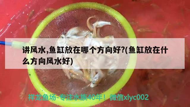 講風水,魚缸放在哪個方向好?(魚缸放在什么方向風水好) 魚缸風水