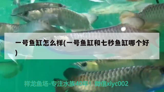 一號魚缸怎么樣(一號魚缸和七秒魚缸哪個好)