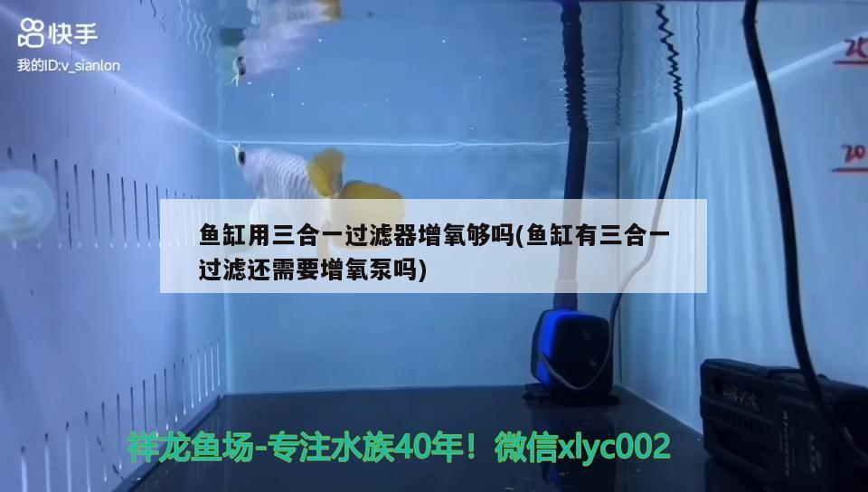 魚缸用三合一過濾器增氧夠嗎(魚缸有三合一過濾還需要增氧泵嗎) 黑帝王魟魚