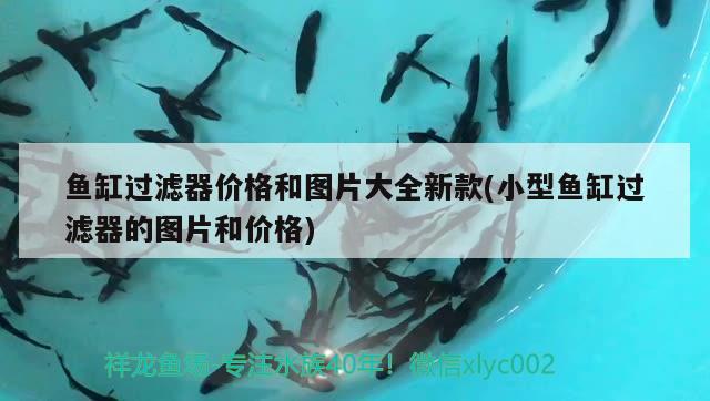 魚缸過濾器價(jià)格和圖片大全新款(小型魚缸過濾器的圖片和價(jià)格) 沖氧泵