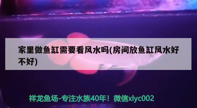 家里做魚缸需要看風(fēng)水嗎(房間放魚缸風(fēng)水好不好) 魚缸風(fēng)水