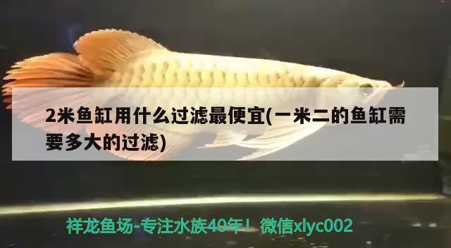 2米魚缸用什么過濾最便宜(一米二的魚缸需要多大的過濾) 大湖紅龍魚