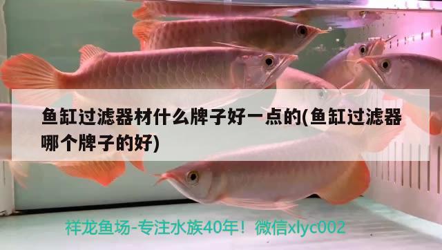 魚缸過濾器材什么牌子好一點(diǎn)的(魚缸過濾器哪個牌子的好) 羅漢魚批發(fā)