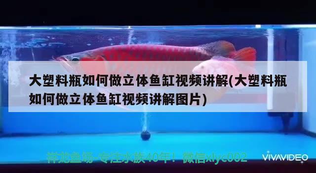 大塑料瓶如何做立體魚缸視頻講解(大塑料瓶如何做立體魚缸視頻講解圖片) 魚缸水泵