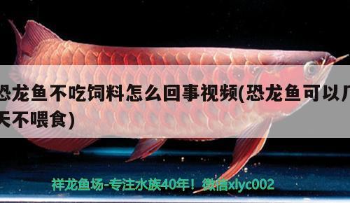 魚缸架子圖片及價格圖片大全圖 魚缸架子圖片大全 制作方法