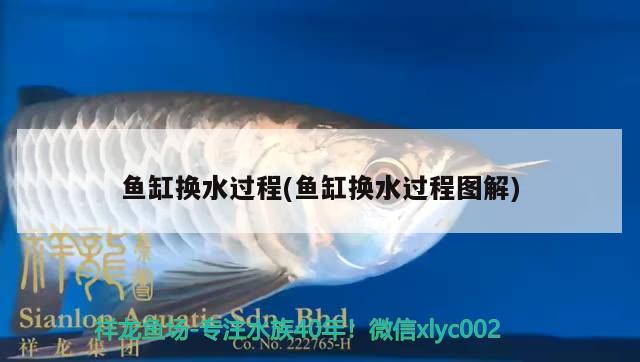 魚缸換水過程(魚缸換水過程圖解) 野彩魚